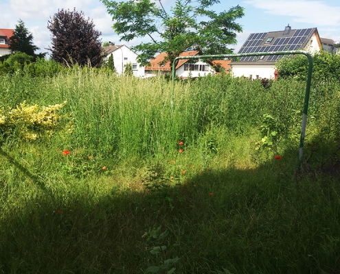 Lukas Kümmel Garten- und Landschaftspflege – Privatgrundstück wiederherstellen: Vorher