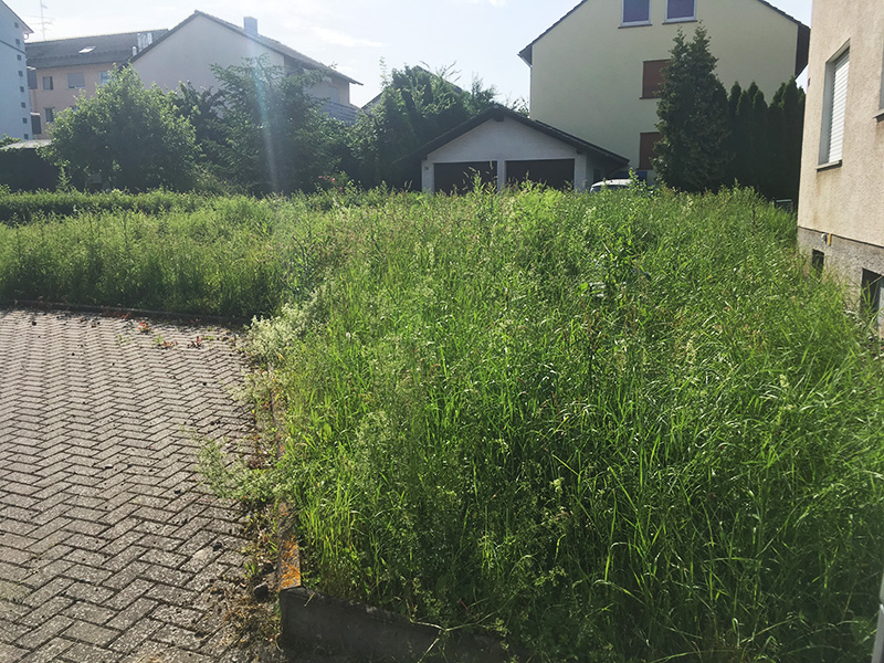 Lukas Kümmel Garten- und Landschaftspflege – Wildwuchs im Garten Privatgrundstück Vorher