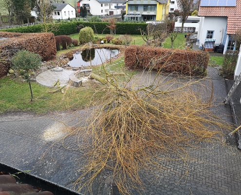 Lukas Kümmel Garten- und Landschaftspflege – Baum fällen auf einem Privatgrundstück