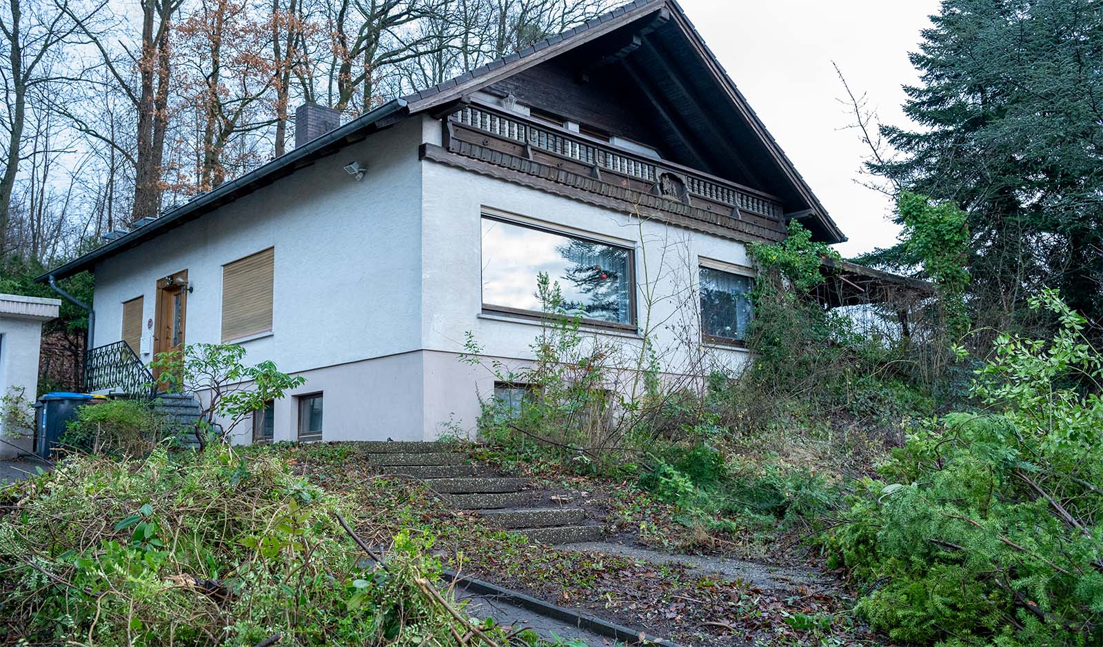 Ein zugewucherter Garten mit einem weiß gestrichenen Haus in der Mitte. Im Vordergrund sieht man schemenhaft die Hofeinfahrt