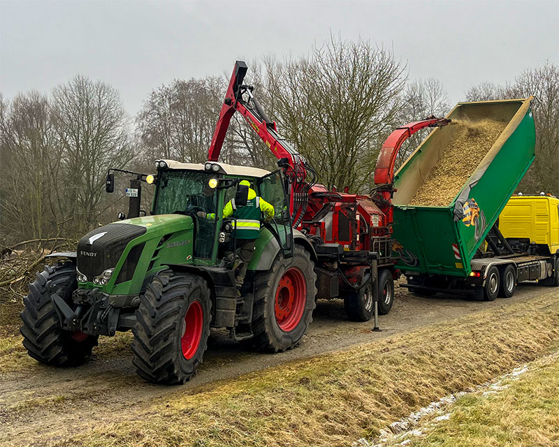 Zu sehen ist ein Traktor mit angehängtem rotem Mulcher, der gerade Baumstämme zu Hackschnitzeln zerkleinert und in einen grünen Container auf einem gelben LKW befördert.